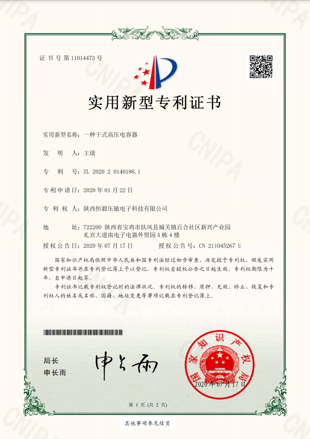 一種電極貼片壓敏電阻器組件(1)